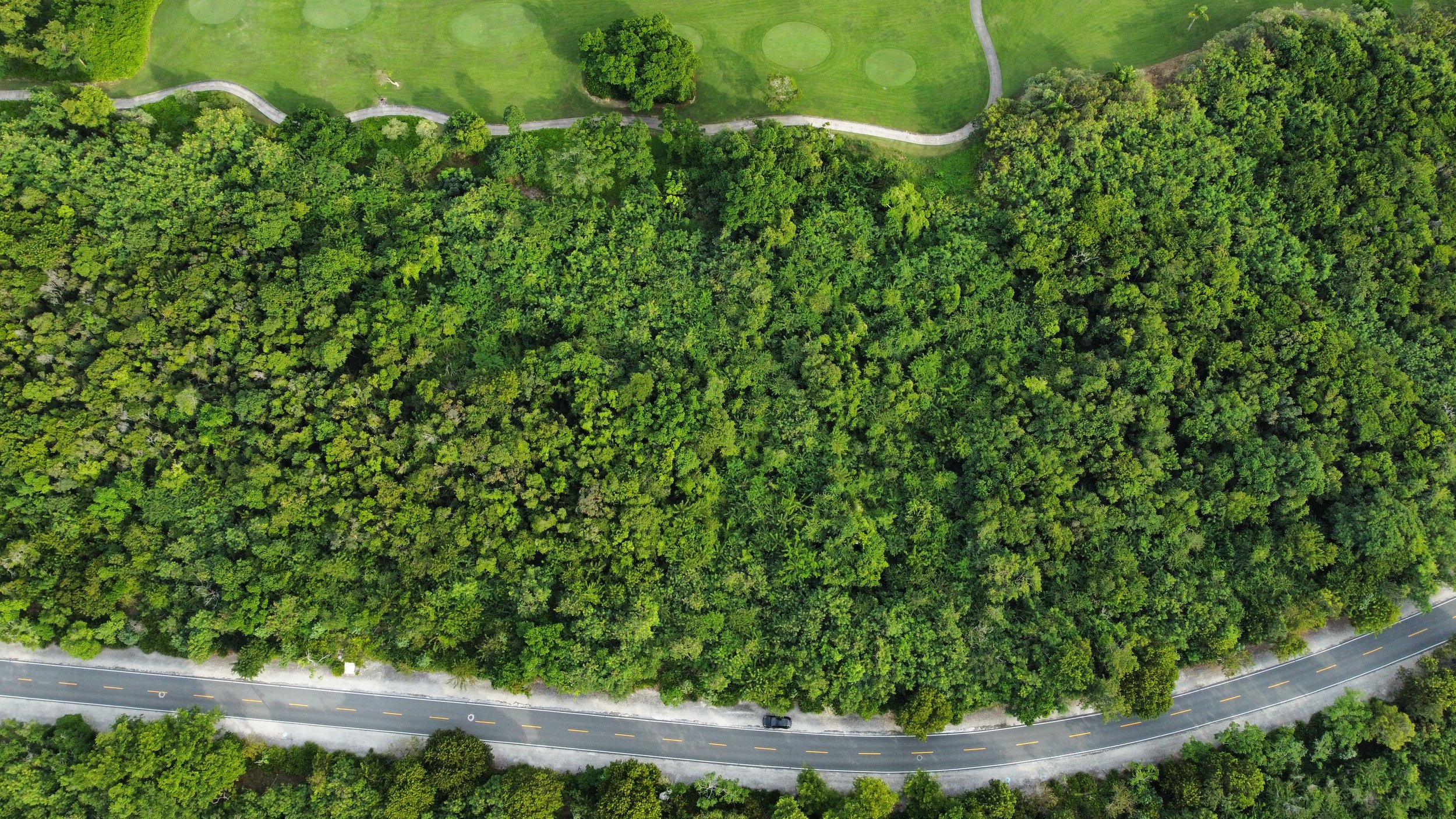 Corales Homesite 109 at Puntacana Resort & Club is pure potential. — photo 3